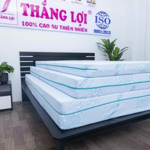 Nệm Cao Su 100% Massage Rosi Thắng Lợi 1m x 2m x 10cm
