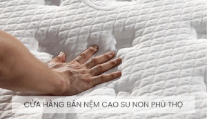 cửa hàng bán nệm cao su non Phú Thọ