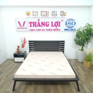 cửa hàng bán nệm cao su non Vĩnh Long