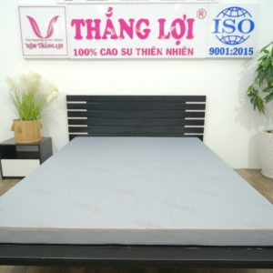 Nệm Cao Su Foam Hoạt Tính Cao Cấp 1m6 x 2m x 10cm