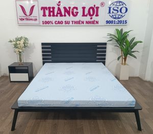 Cửa hàng bán nệm cao su non Đồng Nai