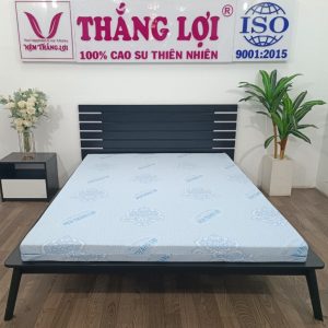 Cửa hàng bán nệm cao su non Đồng Nai