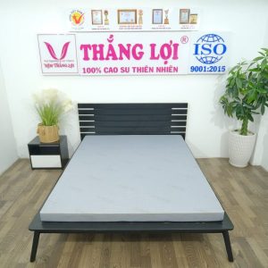 Nệm Cao Su Foam Hoạt Tính Cao Cấp 1m x 2m x 20cm