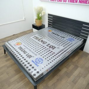 Nệm Cao Su Foam Hoạt Tính Cao Cấp 1m8 x 2m x 20cm