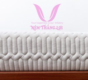 Cửa hàng bán nệm cao su non Lâm Đồng