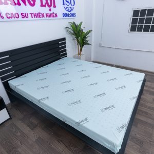 Nệm cao su hoạt tính Thắng Lợi 1m6 x 2m x 15cm