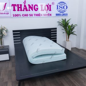 Cửa hàng bán nệm cao su non TP. Hồ Chí Minh