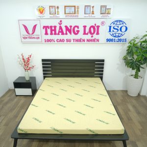 Cửa hàng bán nệm cao su non Thái Bình