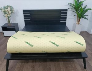 cửa hàng bán nệm cao su non Ninh Bình