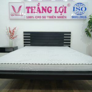 Cửa hàng bán nệm cao su non Kon Tum