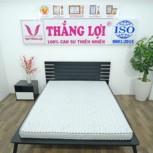 Cửa hàng bán nệm cao su non Ninh Thuận