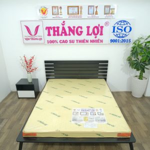 Cửa hàng bán nệm cao su non Hà Tĩnh