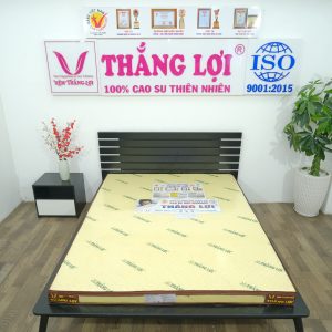 Cửa hàng bán nệm cao su non Thanh Hóa