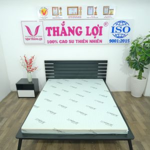 cửa hàng bán nệm cao su non Nam Định