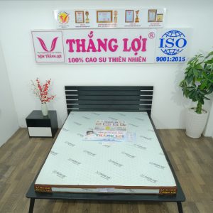Cửa hàng bán nệm cao su non Phú Yên