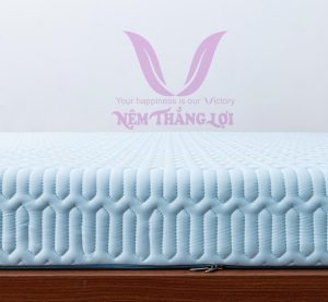 Cửa hàng bán nệm cao su non Bắc Giang