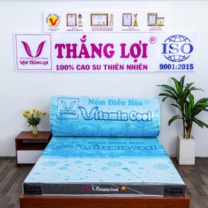 cửa hàng bán nệm cao su non Bắc Ninh