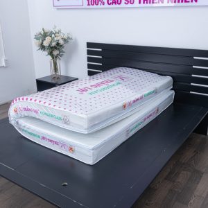 cửa hàng bán nệm cao su non Đồng Tháp