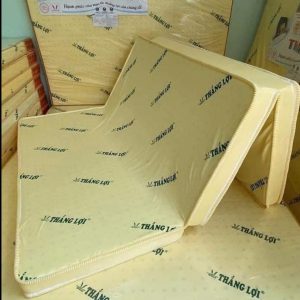 Nệm Cao Su Non Thắng Lợi Gấp 3 1m x 2m x 15cm