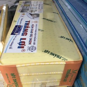 Nệm Cao Su Non Thắng Lợi Gấp 3 1m6 x 2m x 10cm