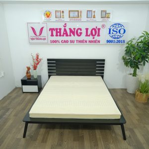 Cửa hàng bán nệm cao su non An Giang