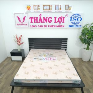 Nệm Super Win Foam 1m2 x 2m x 10cm