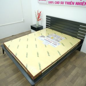 Nệm Cao Su Non Massage Thắng Lợi 1m8 x 2m x 15cm