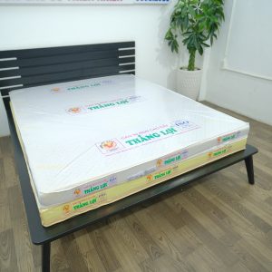 Nệm Cao Su Non Massage Thắng Lợi 1m6 x 2m x 20cm