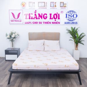Nệm Super Win Foam 1m x 2m x 10cm