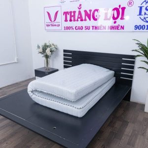 Nệm Memory Foam Thắng Lợi 1m6 x 2m x 10cm
