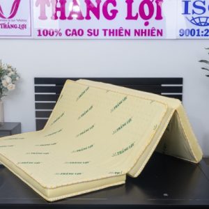 Nệm Cao Su Non Thắng Lợi Gấp 3 1m2 x 2m x 10cm