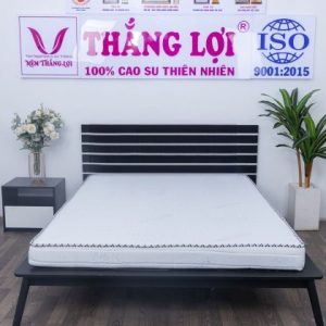 Nệm Memory Foam Thắng Lợi 1m x 2m x 10cm