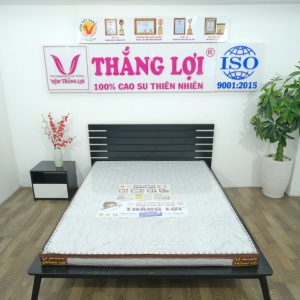 Nệm Cao Su Win Mỹ 1m6 x 2m x 10cm
