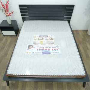 Nệm Cao Su Win Mỹ 1m6 x 2m x 20cm