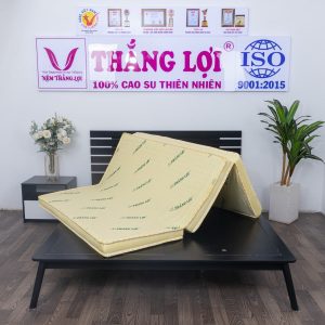 Nệm Cao Su Non Thắng Lợi Gấp 3 1m x 2m x 10cm