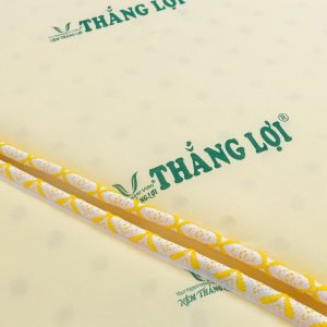Nệm Cao Su Non Thắng Lợi Gấp 3 1m6 x 2m x 15cm