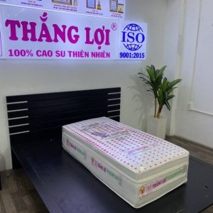 Nệm Cao Su Wonder Foam Gấp 3 1m4 x 2m x 10cm