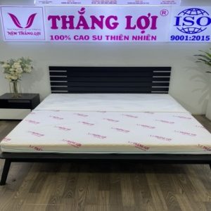 Nệm Foam Cao Cấp Massage Thắng Lợi 1m x 2m x 12cm
