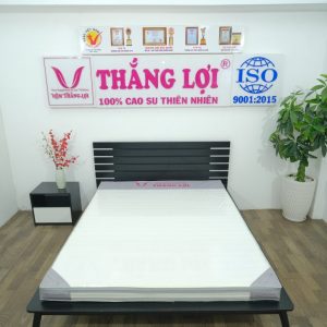 Nệm Foam Cao Cấp Thắng Lợi 1m6 x 2m x 22cm