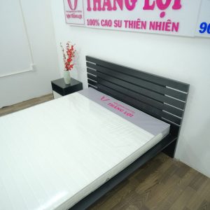 Nệm Foam Cao Cấp Thắng Lợi 1m6 x 2m x 12cm