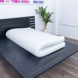 Nệm Foam Cao Cấp Thắng Lợi 1m x 2m x 12cm