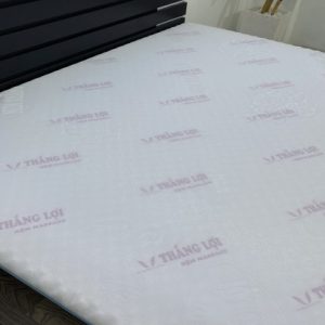 Nệm Foam Cao Cấp Massage Thắng Lợi 1m8 x 2m x 22cm