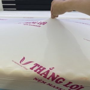 Nệm Foam Cao Cấp Massage Thắng Lợi 1m2 x 2m x 17cm