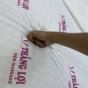 Nệm Foam Cao Cấp Massage Thắng Lợi 1m6 x 2m x 17cm