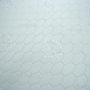 Nệm Cao Su Win Mỹ 1m2 x 2m x 15cm