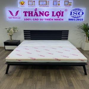 Nệm Foam Cao Cấp Massage Thắng Lợi 1m2 x 2m x 12cm