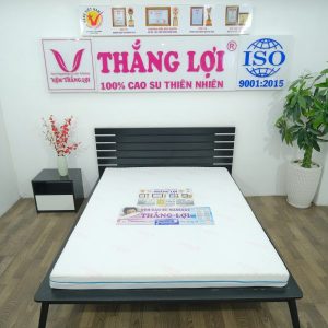 Nệm Foam Cao Cấp Massage Thắng Lợi 1m6 x 2m x 22cm