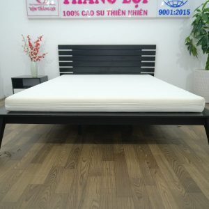Nệm Foam Cao Cấp Thắng Lợi 1m x 2m x 22cm