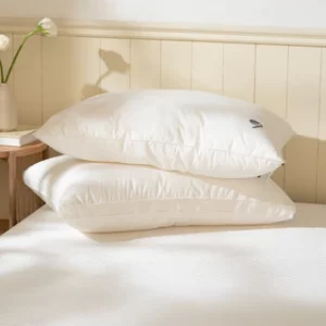 Cách đọc chính sách bảo hành nệm cho người mới mua