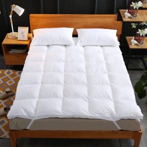 Nệm phù hợp cho sử dụng bền bỉ 8-12 năm